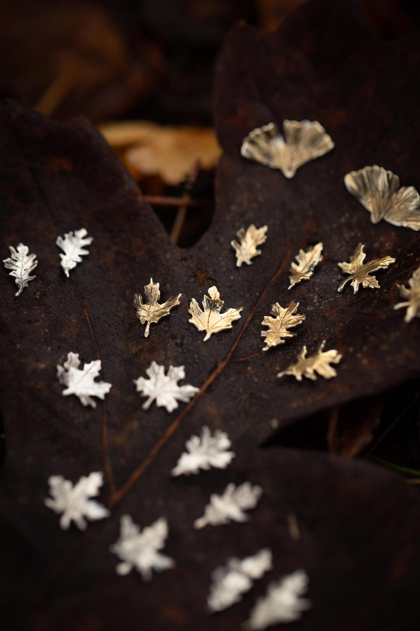 Woodland Stud Leaf Earrings in Sterling Silver