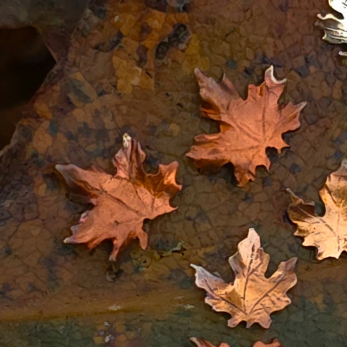 Copper and Brass Autumn Leaf Stud Earrings