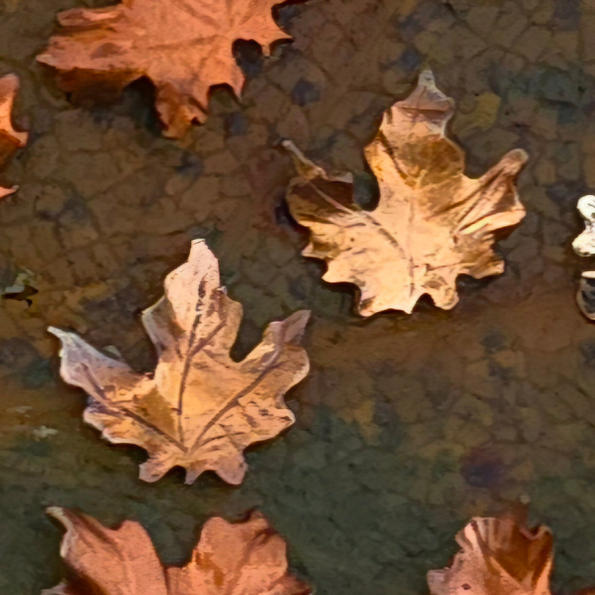 Copper and Brass Autumn Leaf Stud Earrings