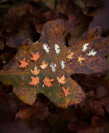 Copper and Brass Autumn Leaf Stud Earrings