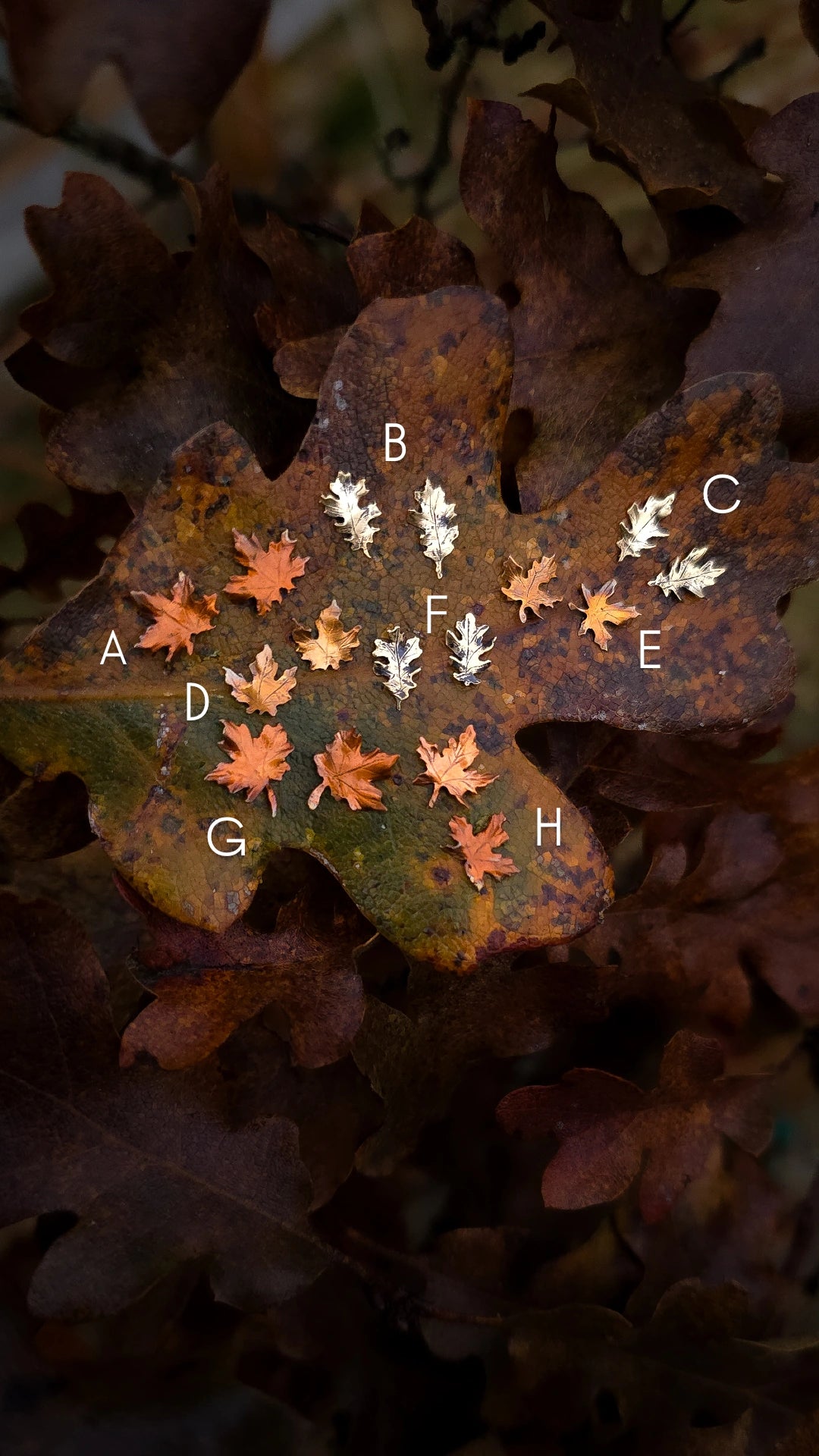 Copper and Brass Autumn Leaf Stud Earrings