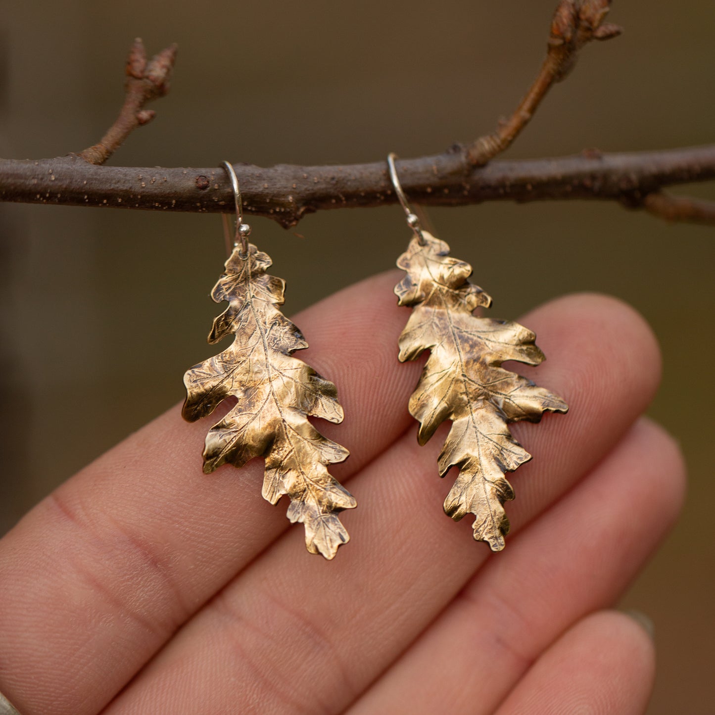 Brass gold colored oak leaf earrings hanging on a branch with a blurred natural background