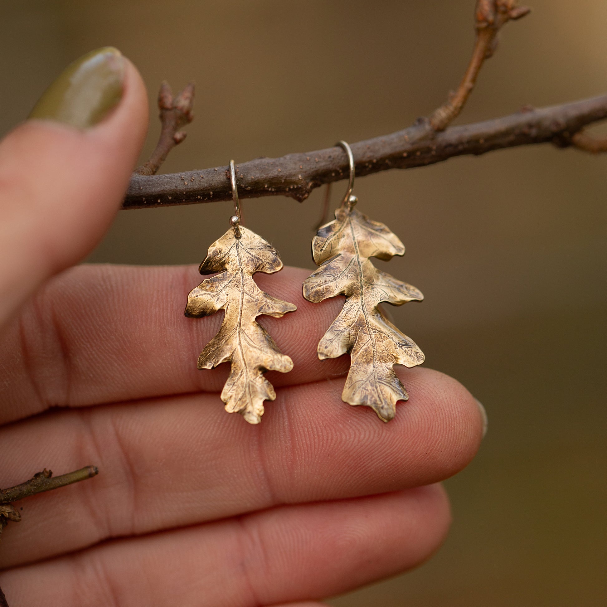 Brass gold colored oak leaf earrings hanging on a branch with a blurred natural background held by a hand