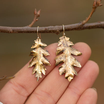 Brass gold colored oak leaf earrings hanging on a branch with a blurred natural background with hand holding them