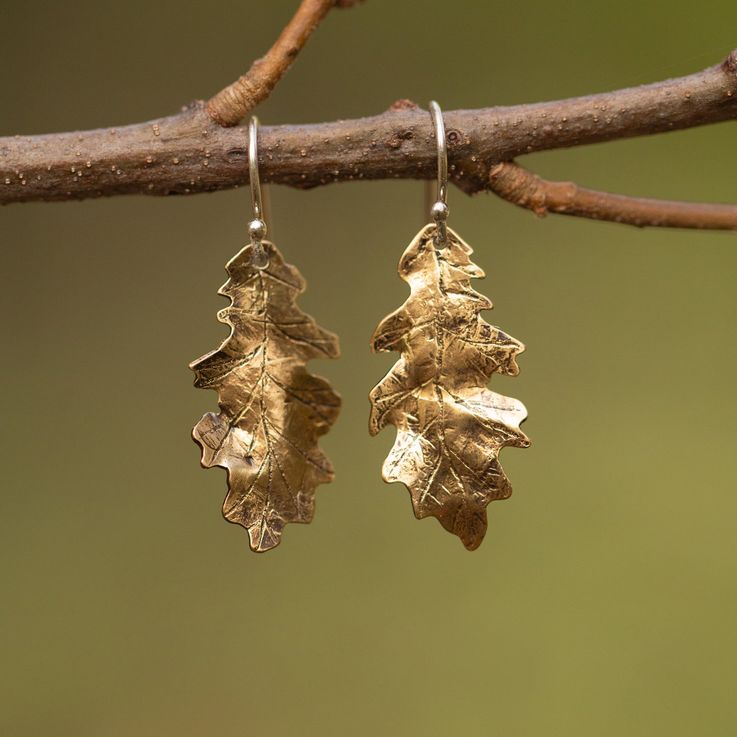 Brass gold colored oak leaf earrings hanging on a branch with a blurred green background