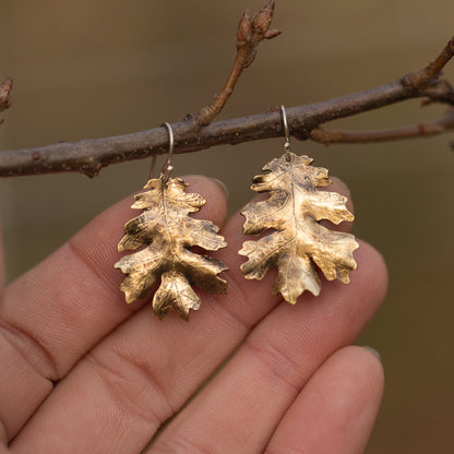 Brass gold colored oak leaf earrings hanging on a branch with a blurred natural background