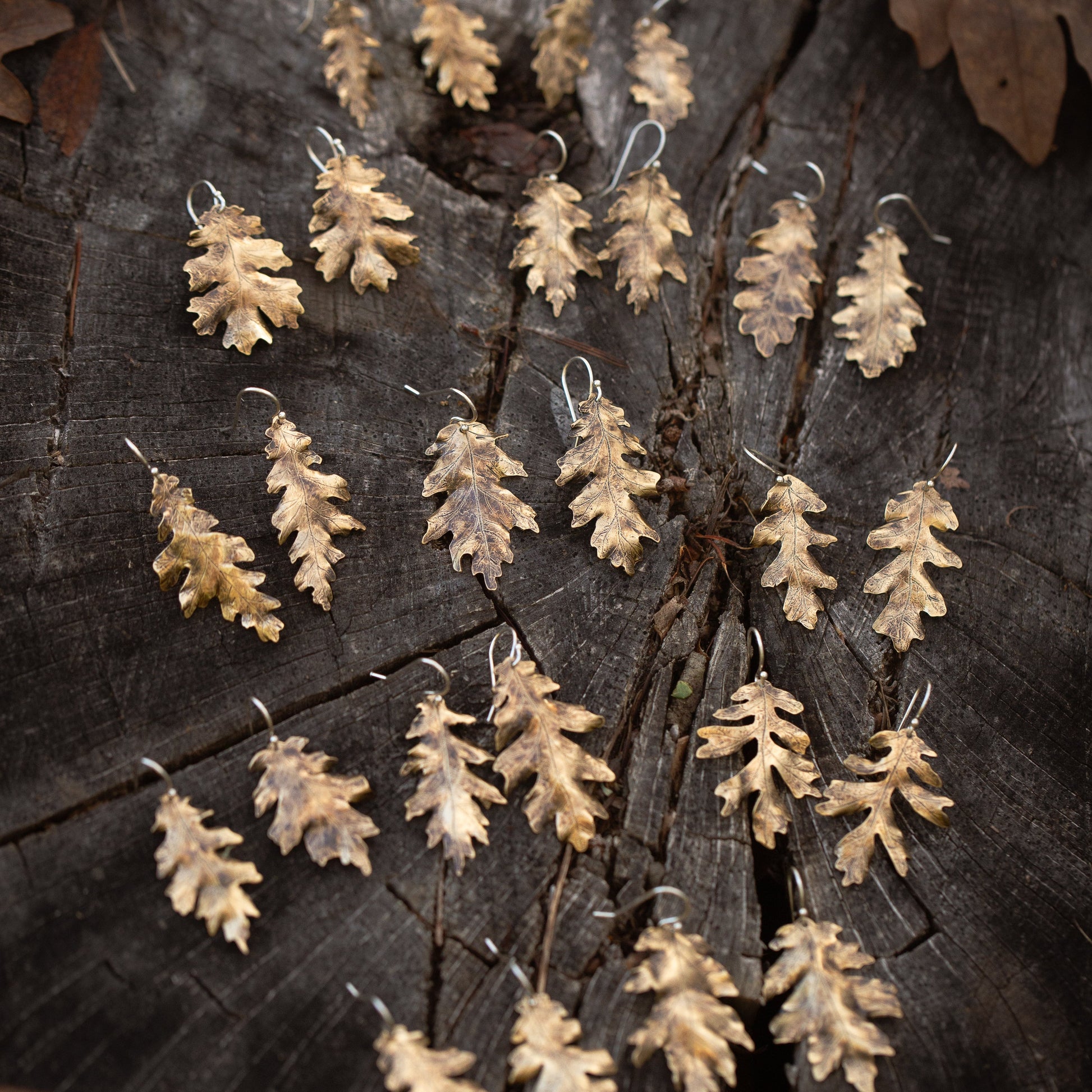 Set of brass oak leaf-shaped earrings on a wooden surface with leaves around