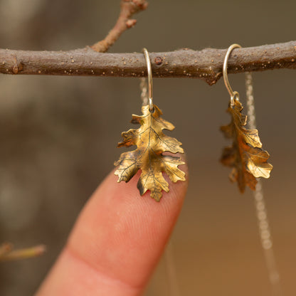 Brass gold colored oak leaf earrings held against a branch with a blurred natural background