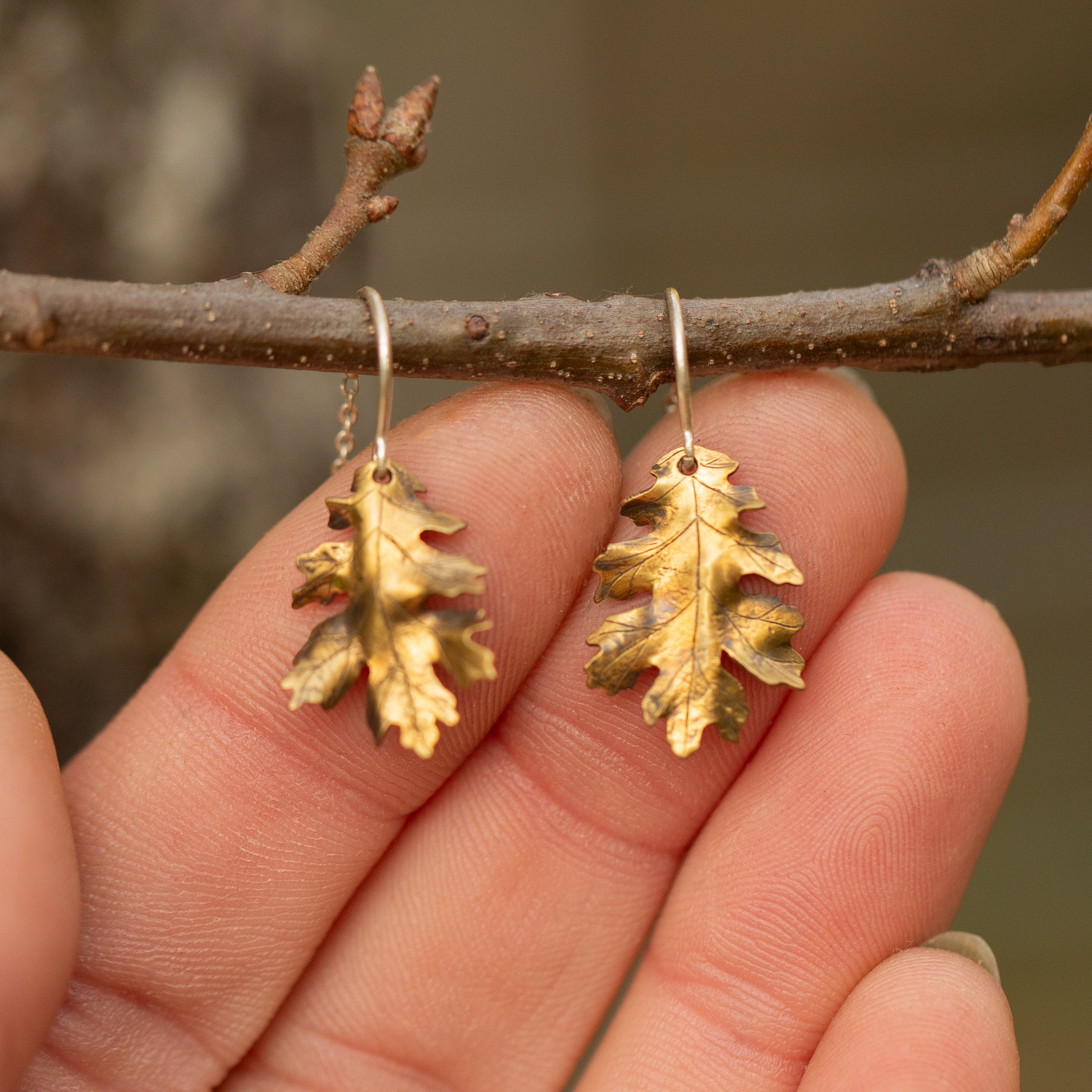 Brass gold colored oak leaf earrings held on a branch with a blurred natural background