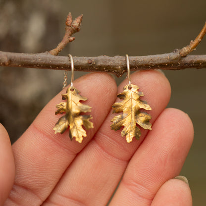 Brass gold colored oak leaf earrings held on a branch with a blurred natural background