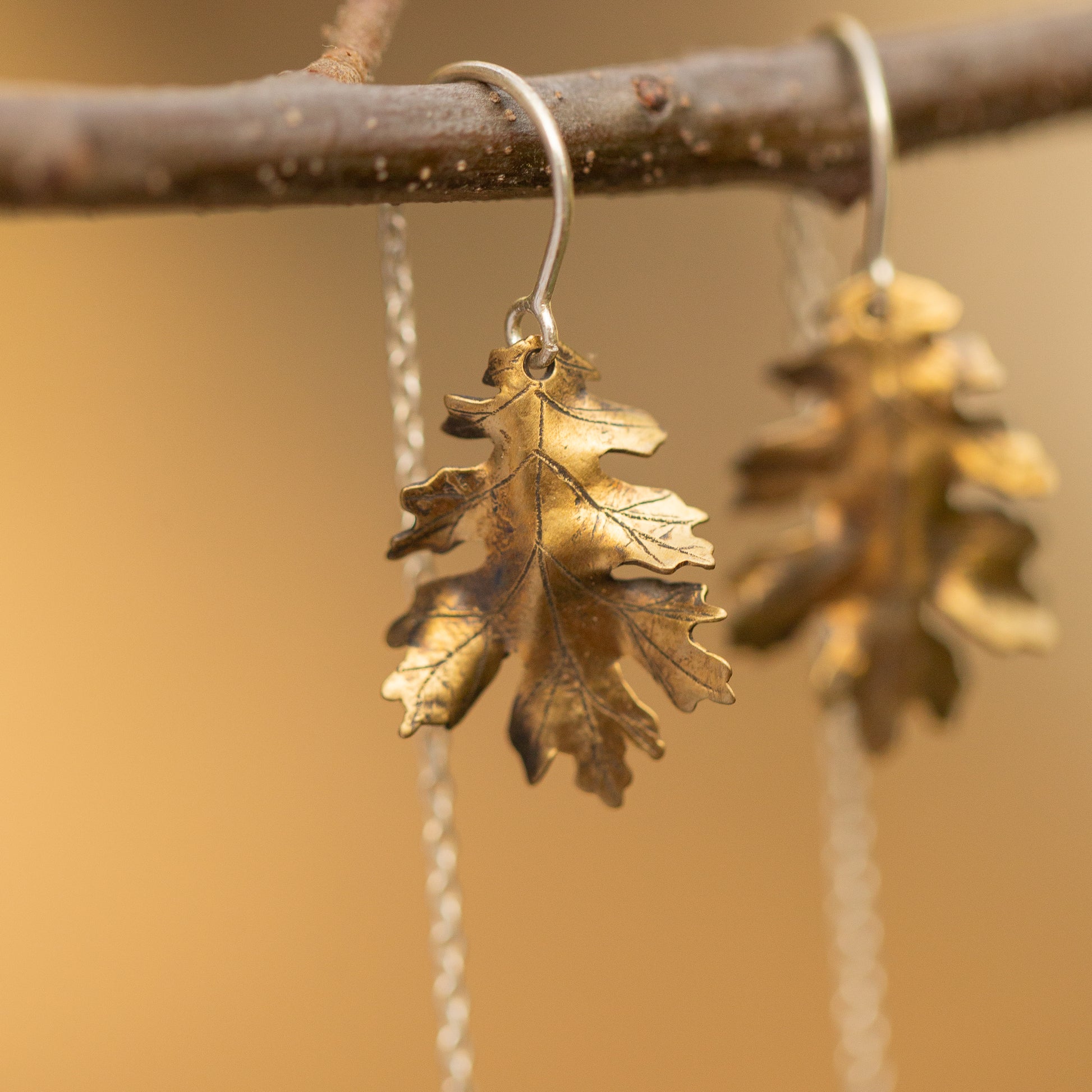 Brass oak leaf earrings hanging from a branch with a warm brown background