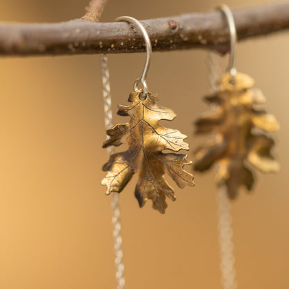 Brass oak leaf earrings hanging from a branch with a warm brown background