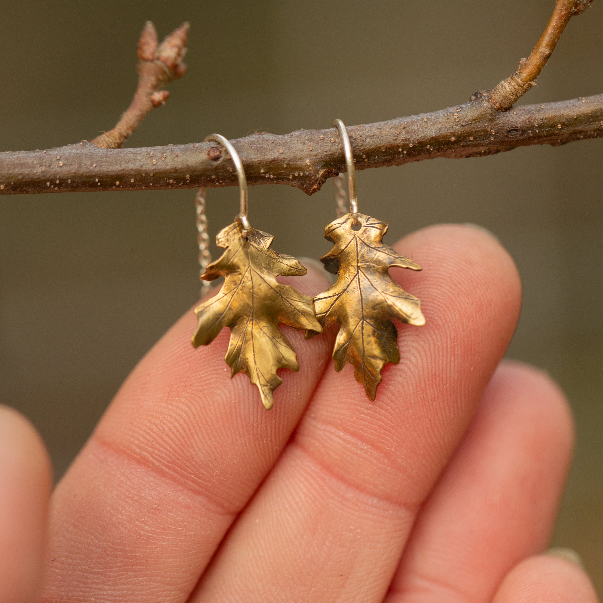 Brass gold colored oak leaf earrings held on a branch with blurred natural background
