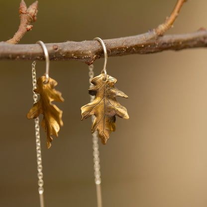 Brass oak leaf earrings hanging from a branch with a blurred natural background
