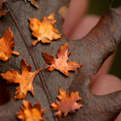 Close-up of a hand holding an oak leaf showcasing copper maple leaf stud earrings