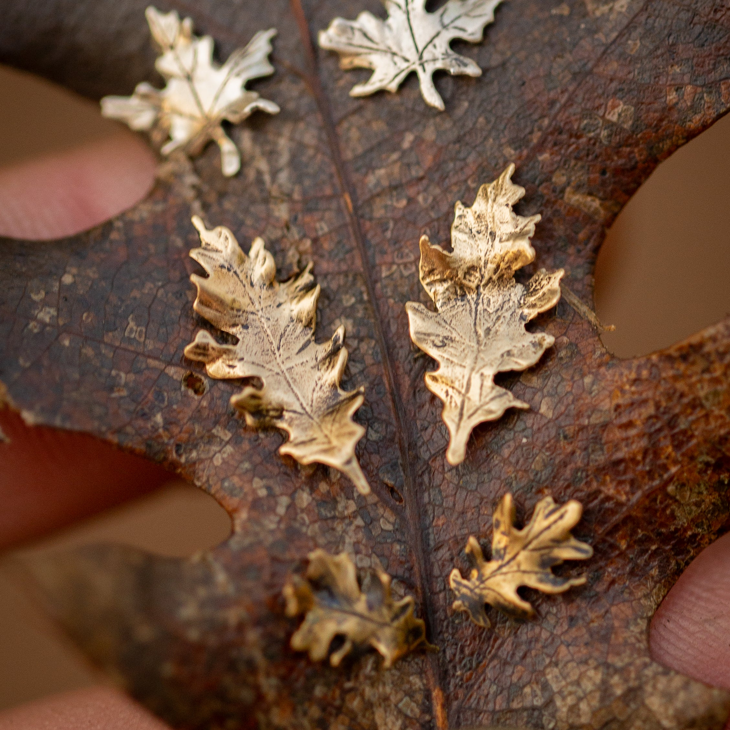 Autumn Leaf Stud Earrings in Copper and Brass