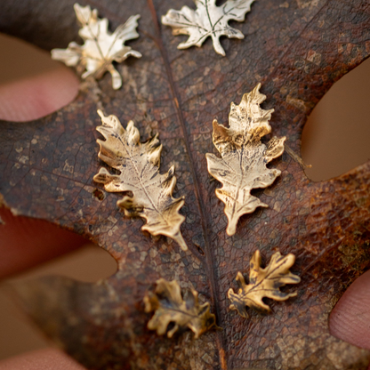 Autumn Leaf Stud Earrings in Copper and Brass