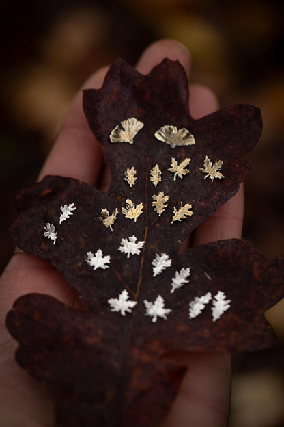 Autumn Leaf Stud Earrings in Sterling Silver