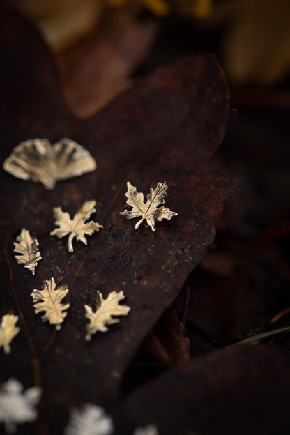 Autumn Leaf Stud Earrings in Sterling Silver