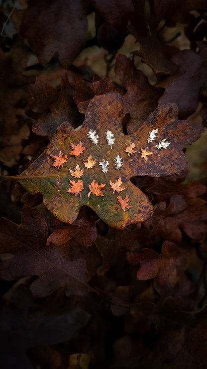 Copper and Brass Autumn Leaf Stud Earrings